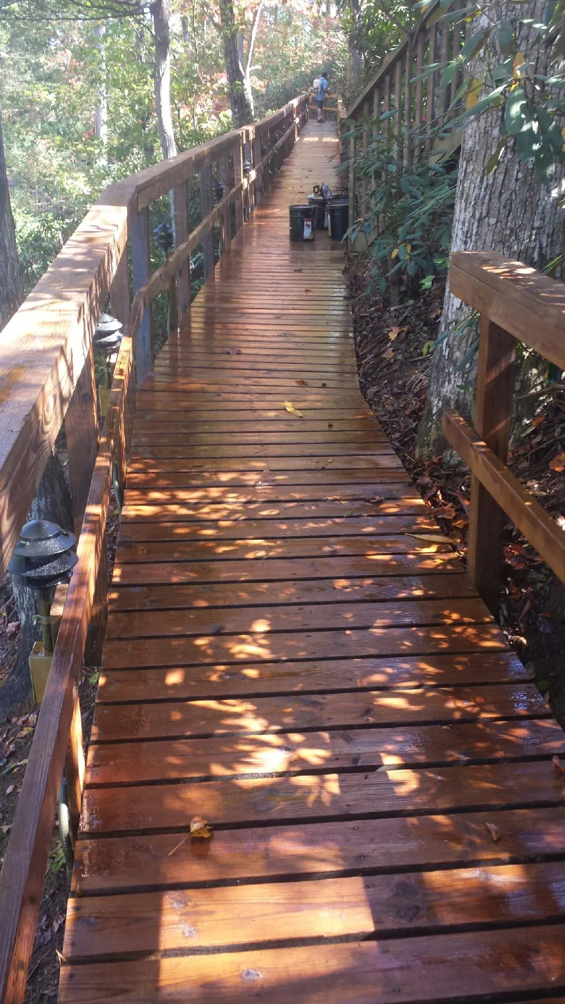 Freshly stained wood walkway winding through the woods in Chenango Forks