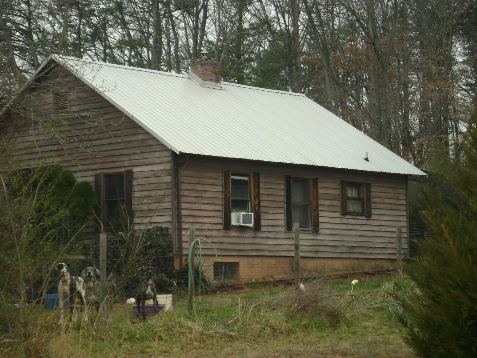 White metal roof on an old wood sided farmhouse, from a Asphalt Shingle Roof Repair job in Chenango Forks